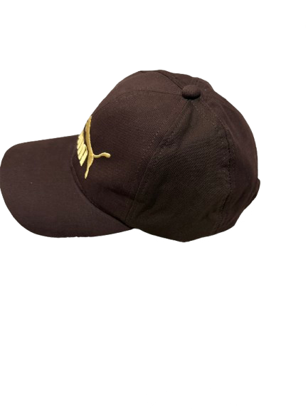 Boné Aba Curva Masculino Ajustável Bordado Premium